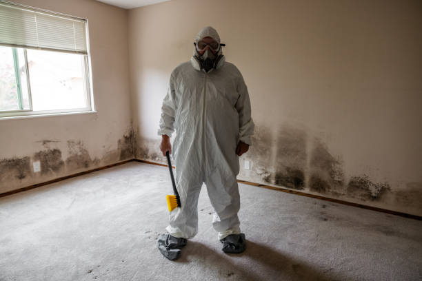 Office Mold Removal Services in Port Angeles, WA